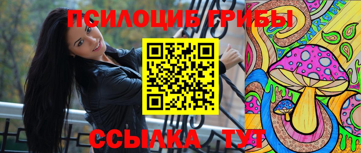 Псилоцибиновые грибы MAGIC MUSHROOMS  Вход с VPN  Серпухов 