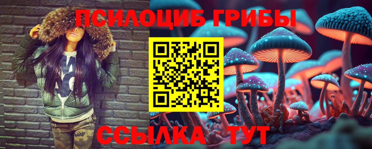 Псилоцибиновые грибы Cubensis Серпухов